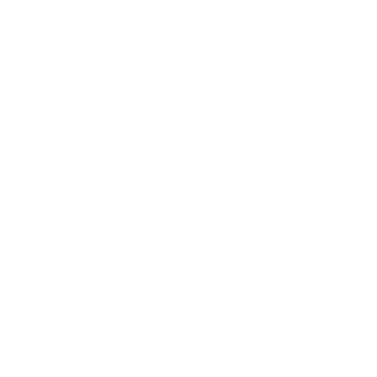 OSP Academy